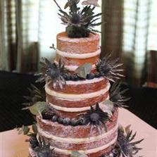 Blue Tones Naked cake